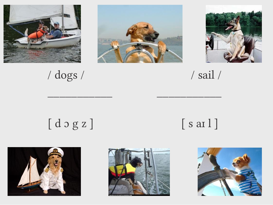 Six photographs of dogs on boats or at the wheel surround the pairs / dogs / above d ɔ g z and / sail / above s aɪ l, each pair separated by a horizontal line.