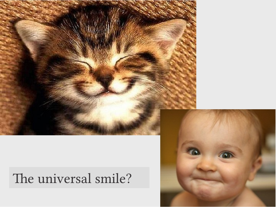 A kitten with narrowed eyes and a smiling baby accompany the question “The universal smile?”.
