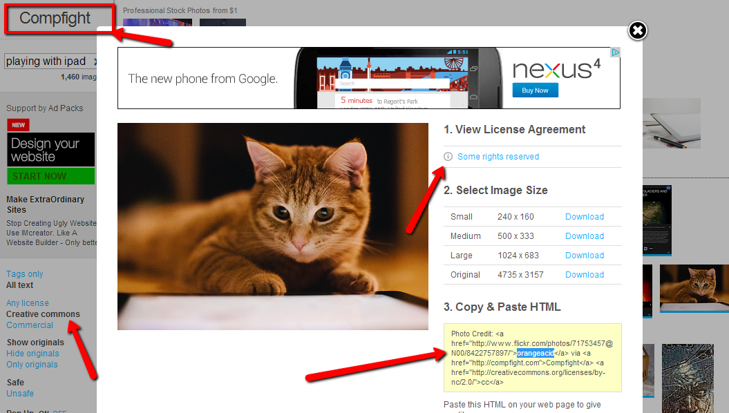 Screenshot of Compfight, with the Compfight tab outlined in red: a photograph of an orange kitten beside the steps “1. View License Agreement”, “2. Select Image Size” (Small, Medium, Large, Original, each with a download link) and “3. Copy & Paste HTML” with a photo credit snippet; red arrows point at the licence link, the licence filter and the credit snippet.