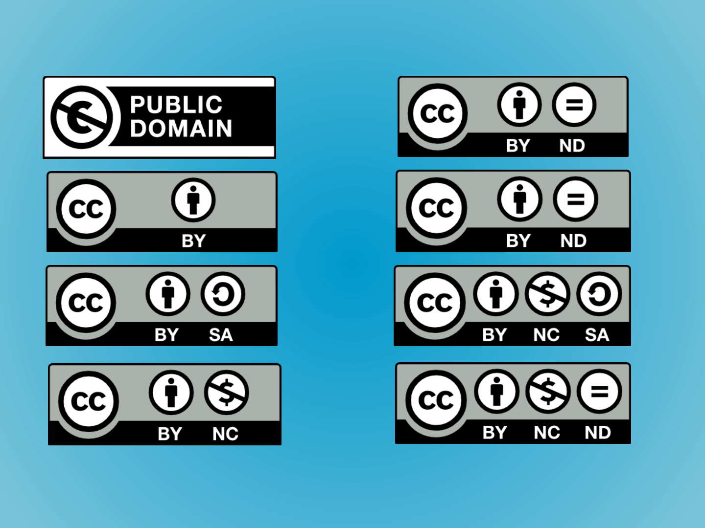 The slide's original page: eight Creative Commons licence badges in two columns. Left: Public Domain, BY, BY SA, BY NC. Right: BY ND (shown twice), BY NC SA, BY NC ND.