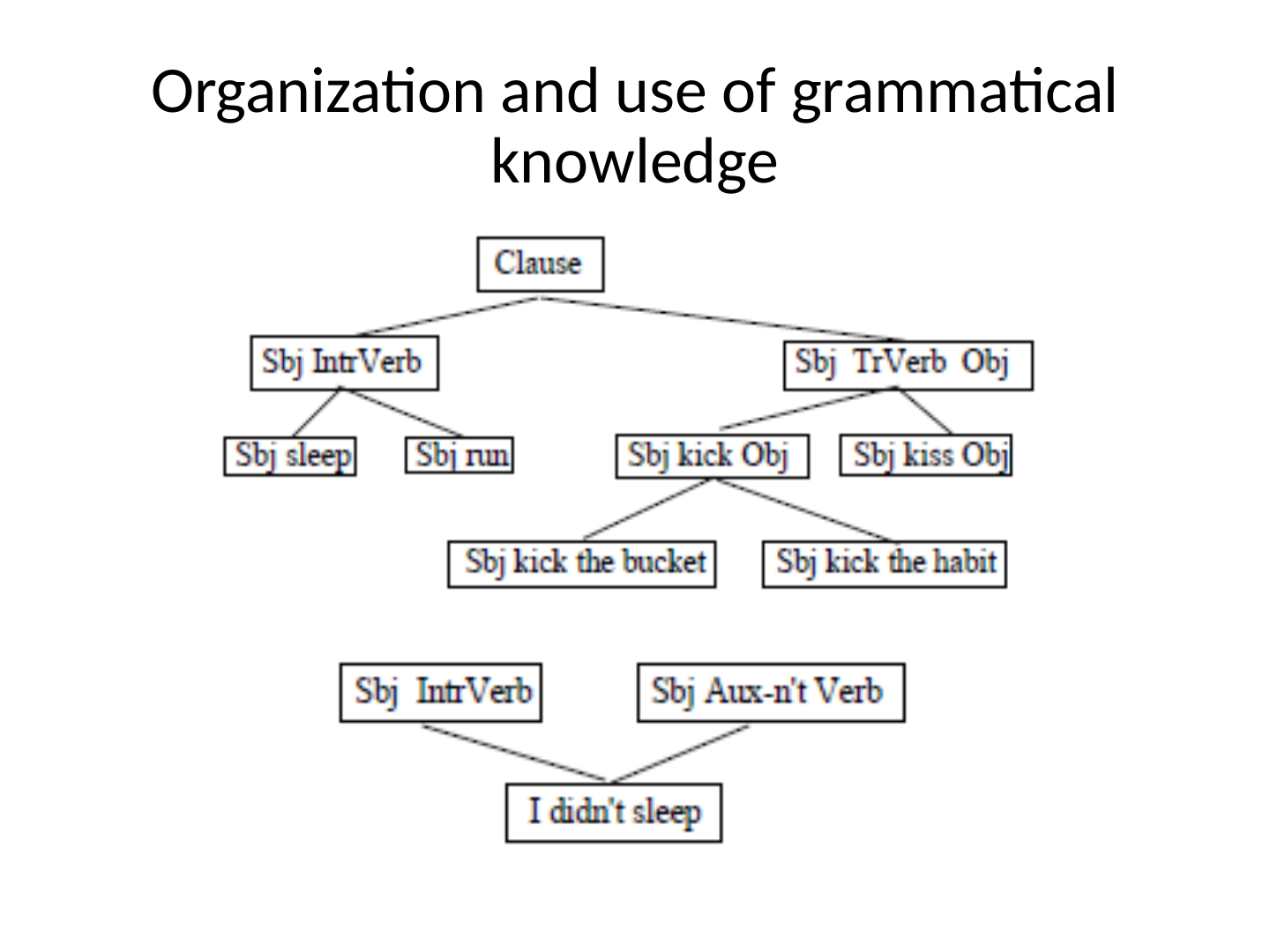 A tree of construction types: Clause at the top; Sbj IntrVerb (Sbj sleep, Sbj run) and Sbj TrVerb Obj (Sbj kick Obj, Sbj kiss Obj, Sbj kick the bucket, Sbj kick the habit); and below them Sbj IntrVerb and Sbj Aux-n’t Verb combining in “I didn’t sleep”.