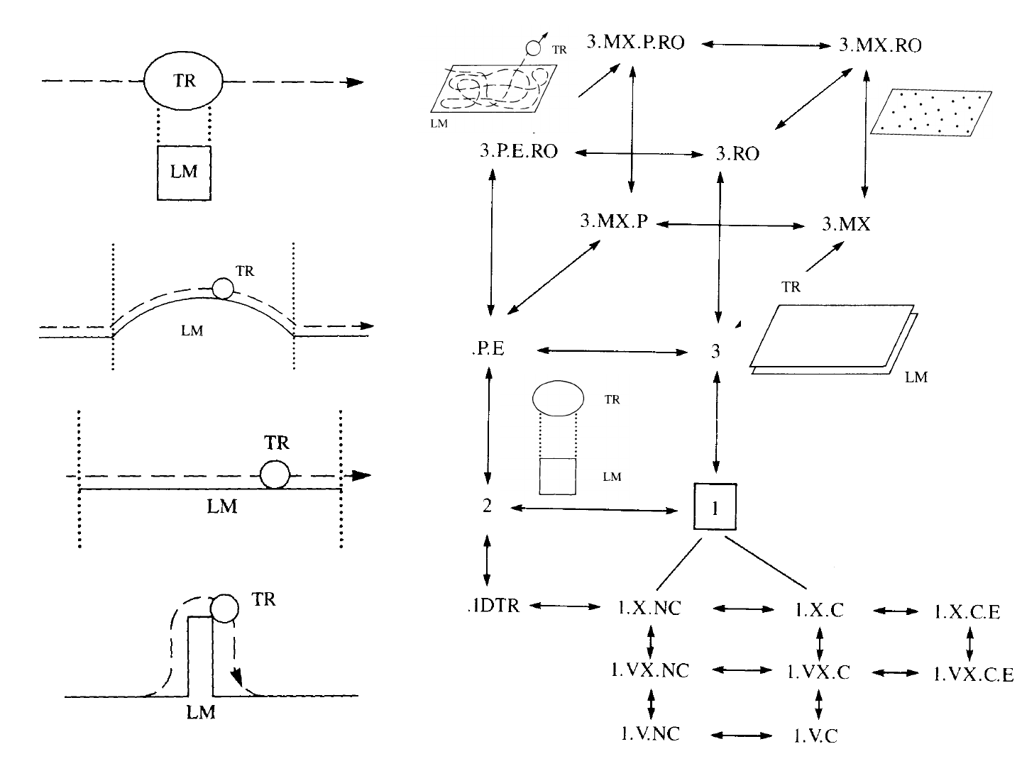 Left: four schematic diagrams of a trajector (TR) moving along a dashed path in relation to a landmark (LM): TR level with a box-shaped LM, TR passing over an arc-shaped LM, TR travelling along a flat LM, and TR going over a tall narrow LM and down the far side. Right: a network of labelled nodes joined by double-headed arrows, from 3.MX.P.RO at the top down to 1.V.NC and 1.V.C at the bottom, with small TR and LM pictures beside some nodes.