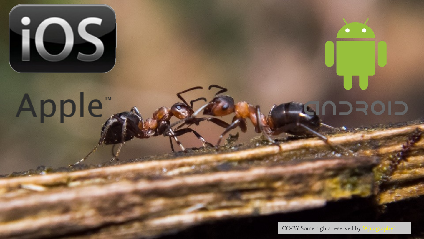 A photograph of two ants facing each other on a piece of wood, with the iOS and Apple logos at top left and the Android robot logo and wordmark at top right.