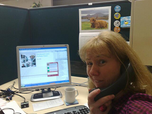 A woman at an office desk holding a telephone handset to her ear and looking at the camera, with a computer monitor and a framed picture of a Highland cow behind her.
